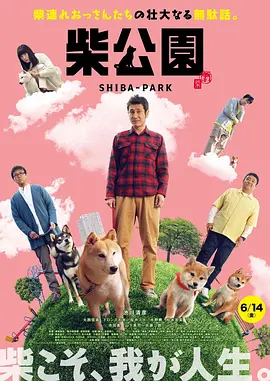 黄v网站免费观看