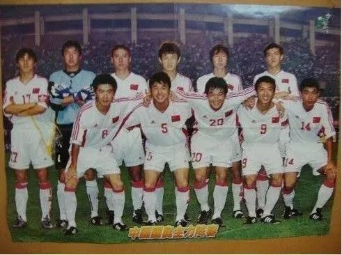 ckplayer国内精品