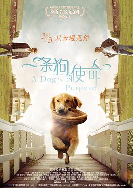 免费成a在线观看