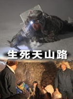 国产精品入口麻豆免费