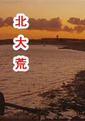 欧美日日操